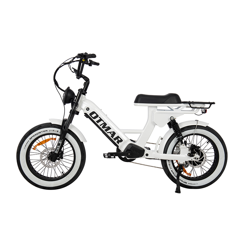 Wholesale Retro Electric Bike Supplier: OTMARE Innovation Wholesale Retro Electric Bike Supplier: OTMARE Innovation
