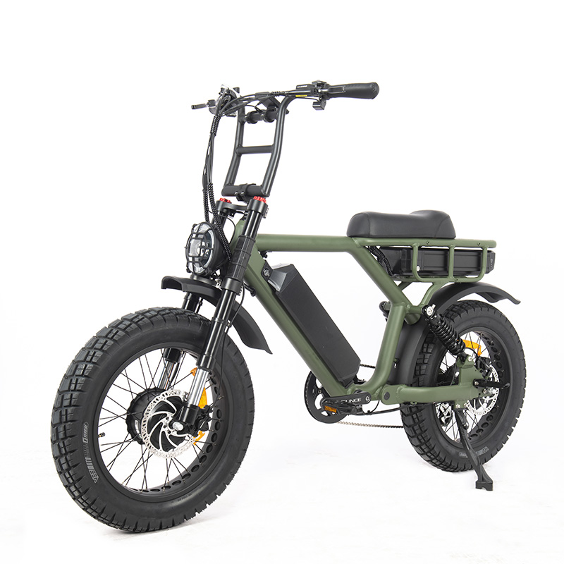 Wholesale Retro Electric Bike Supplier: Elevate Your Business