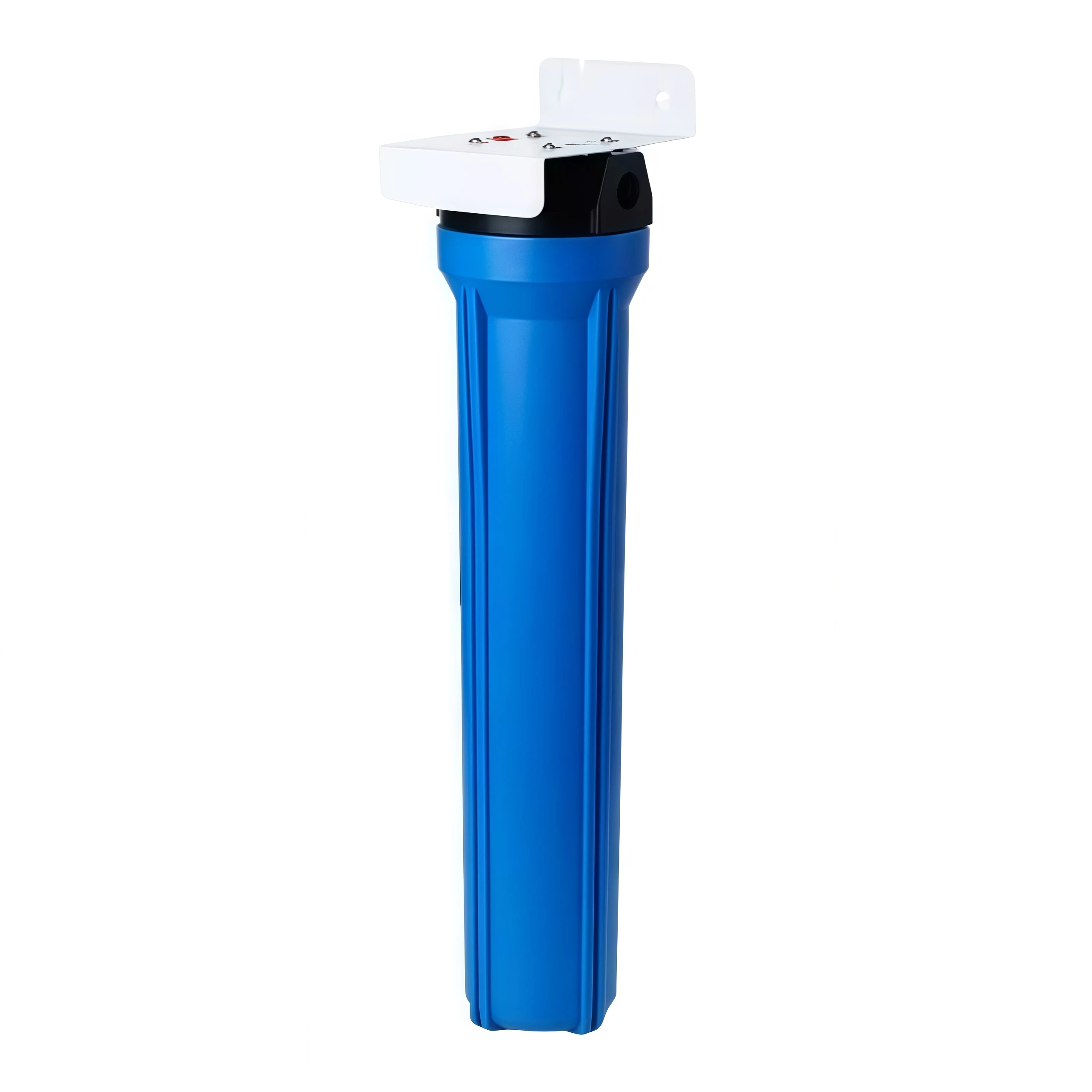 Whole-house water purification 20'' standard blue single stage with siding