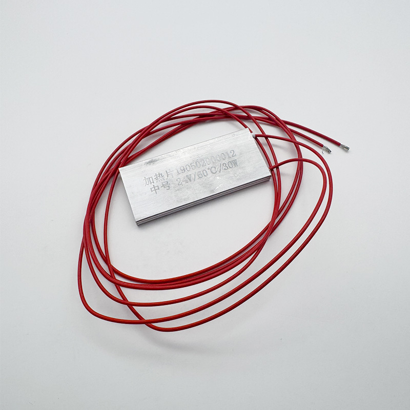 Close-up view showing the compact dimensions of the low-voltage aquarium heater plate next to a coin for scale.